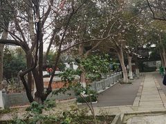 -丝绸小镇荻港古村
