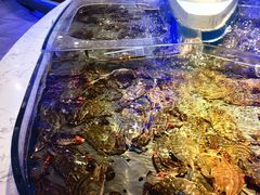 -澜悦港海鲜体验主题餐厅