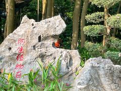 -东莞植物园