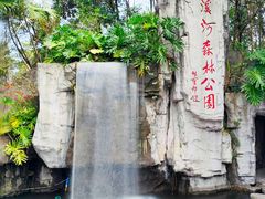 -广州市流溪河国家森林公园