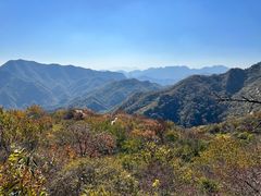 -大岭沟猕猴桃谷风景区