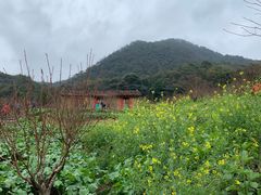 -广州市石门国家森林公园