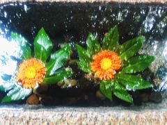 -天目湖御水温泉·度假酒店