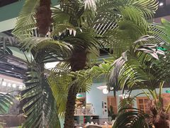 -春润大地海南椰子鸡(沙井京基百纳广场店)