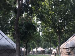 -九十九顶毡房(阜石路店)