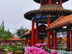 -曹州百花园