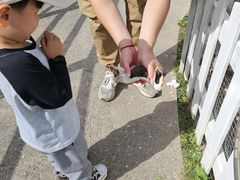 -前小桔亲子创意农场·草莓采摘·露营烧烤