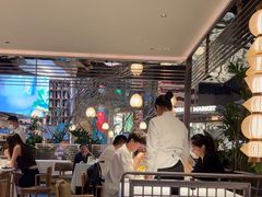 -桂满陇·海市蜃楼·黑金(国金店)