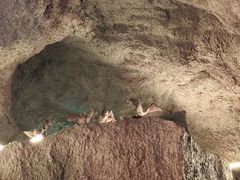 -游龙石文化科普馆