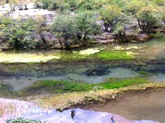 -黄龙山原始森林景区