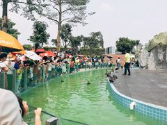 -长廊欢乐园