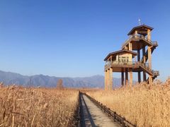 -野鸭湖国家湿地公园