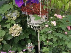 -三圣花乡旅游区