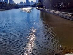 -白鹭洲公园