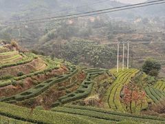 -杨家堂村