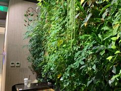 -Seesaw Coffee(环贸iapm店)