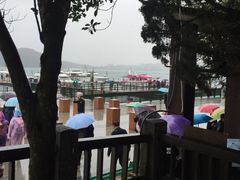 -金盆阿嬷香菇茶叶蛋(玄光店)