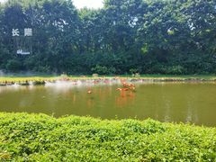 -广州长隆飞鸟乐园
