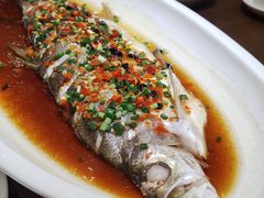 -洞庭渔人(沙湾店)