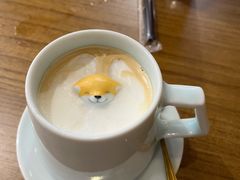 拿铁-柴犬小屋·柴餐厅·狗咖食堂(金鼎广场店)