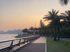 -野狸岛