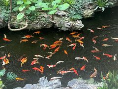 -广州白天鹅宾馆