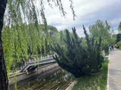 -元大都城垣遗址公园