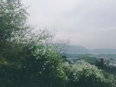 -天台山赤城山景区