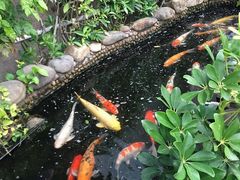 -妙井の茶(罗湖地王店)