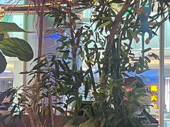 -桂满陇·蟹黄小笼汤包(清河万象店)
