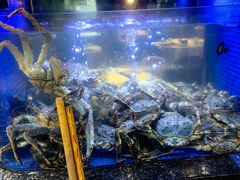 -侨美食家·40年地道粤菜(珠江新城店)