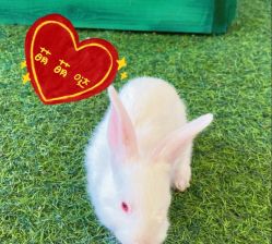 -萌宠亲子动物乐园(槐房万达店)