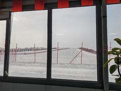 -呼兰河口湿地公园