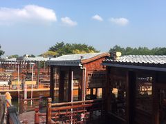 -大湾区中央湿地公园