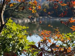 -庐山风景区花径公园