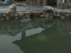 -大雁塔北广场音乐喷泉