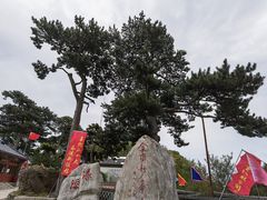 -妙峰山风景名胜区