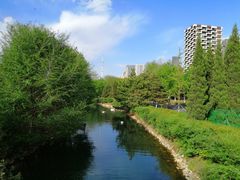 -长白岛森林公园