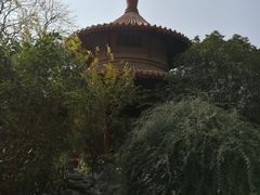 -西苑公园