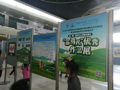 -深圳少年儿童图书馆