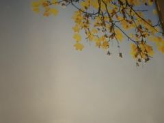 -蓉府金足印象(望江店)