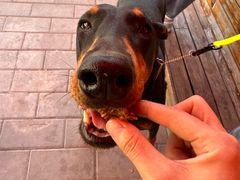 -Catch Bagel(芳草地店)