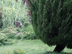 -宝鸡植物园