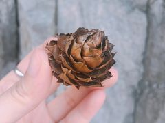 -楠溪江风景名胜区