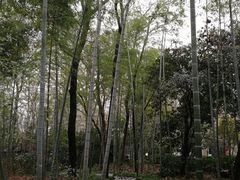 景观位-南京东郊国宾馆