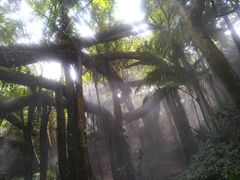 -青青世界