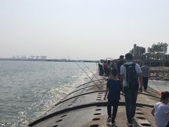 -东疆建设开发纪念公园