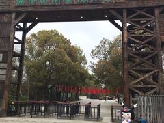 -溱湖国家湿地公园