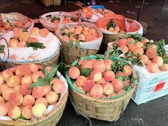 -正宗火盆自助烧烤·烤全羊·柴火鸡(龙泉山店)