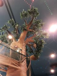 点击看大图 -卡通尼·Safari非洲探索乐园·生日会(金桥国际商业广场店)